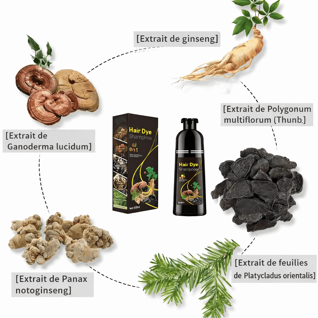 Shampoing Colorant 3-en-1 – Noir Naturel | Anti Cheveux Blancs + Soin + Brillant 500 ML - BONDABOU SHOP